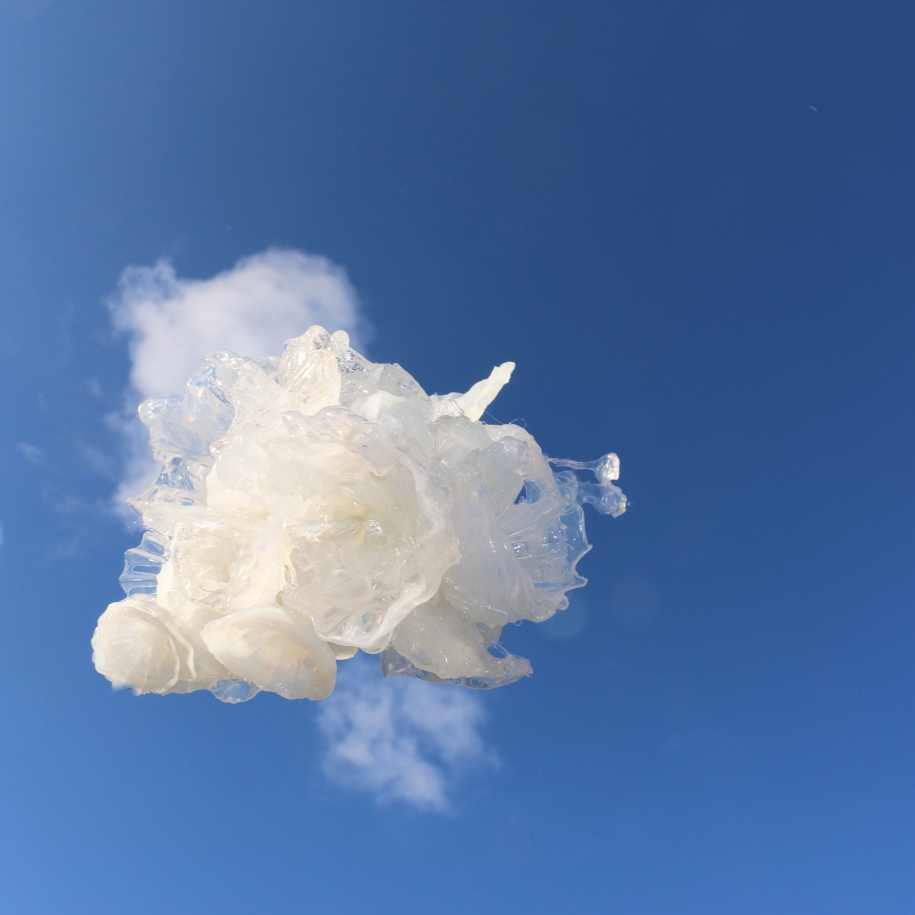 Kate Amery   Plastic Cloud 5